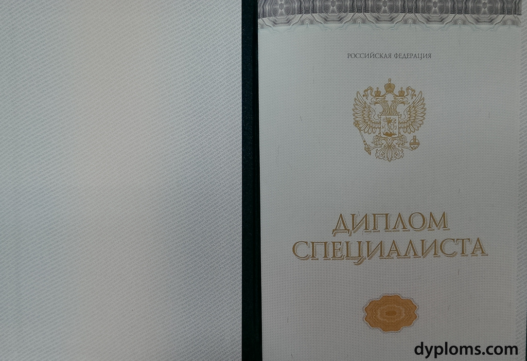 Купить диплом института без предоплаты - просто и удобно